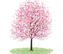 Pink Cherry Blossom Tree Vector