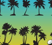 Palm Tree Vectors