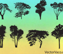 Free tree silhouette vectors pack.