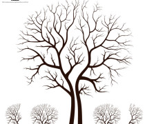 Leafless Autumn Tree Design Vector