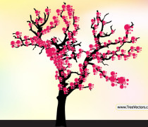 Cherry Blossom Tree Vector