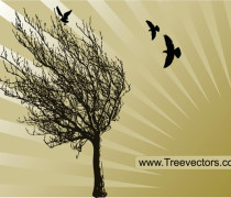 Vector Tree Silhouette with Birds