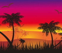 Tropical sunset scene