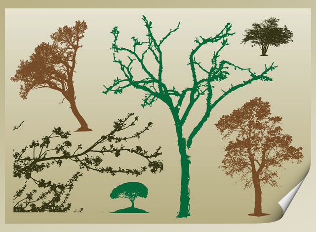 Tree Silhoutte Tree Vector