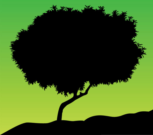 Organic sunset Tree Tree Vector