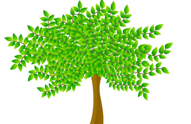 Vector tree illustration Tree Vector