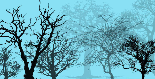 Vector Tree Silhouettes Tree Vector