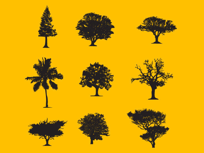 Trees Set Tree Vector